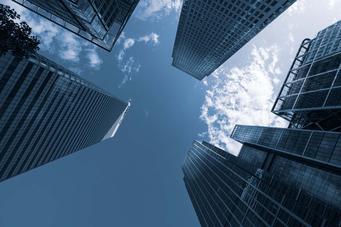 How can IT consulting take your business to the next level?